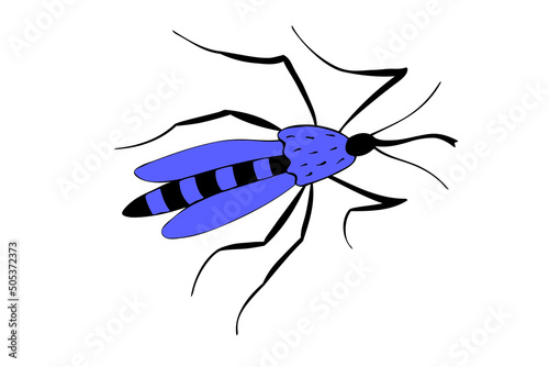 Vector blue mosquito in doodle flat style. Top view. Bright drawing insect. Clipart, design element on theme of nature, spring, summer, isolated