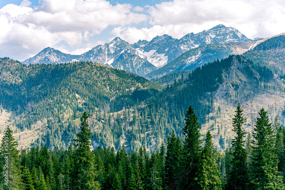 Góry Tatry Wysokie, widok z Rusinowej Polany. Wiosenny widok na ośnieżone szczyty. Tatrzański Park Narodowy.