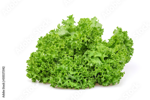 Bunch of freshly plucked lettuce isolated on white background