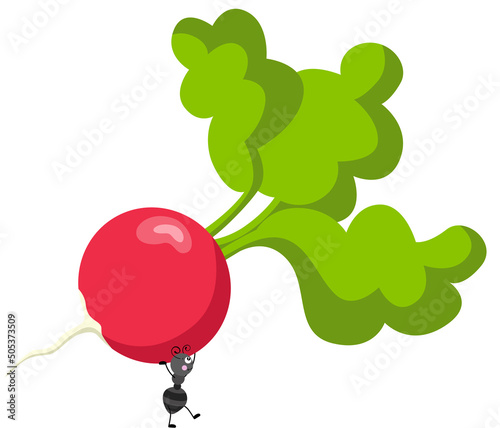 Cute ant carrying a fresh red radish