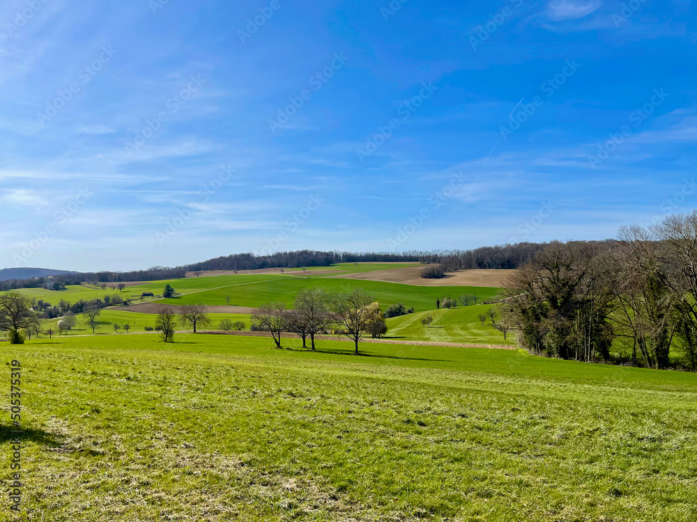 Alsatian plain natural landscape on a sunny summer day, with fields, trees and blue sky Alsatian plain natural landscape on a sunny summer day, with fields, trees and blue sky