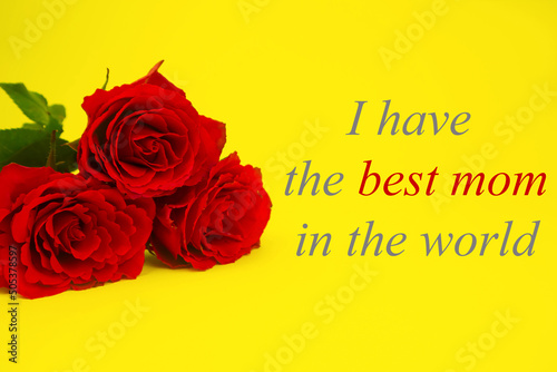 Red roses on a yellow background the inscription and I HAVE THE BEST MOTHER IN THE WORLD. The concept of congratulation, postcard, invitation, gratitude, gift, care. High quality photo