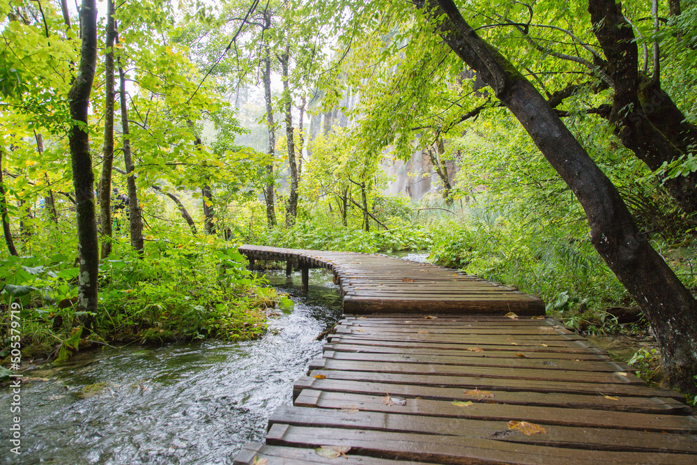 Ταπετσαρία Plitvice Lakes National Park, Croatia, Europe: Green biotope with a boardwalk crossing the streams of spilling waters and a view to the huge waterfalls in the background