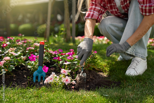Close up of young woman in gloves using gardening tools for planting flowers on back yard. Young woman in casual clothes enjoying work at summer garden.