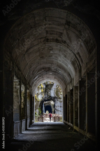 Through the othello tunnel