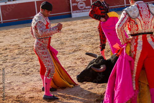 a Spanish bullfighter during his performance in the bullfight