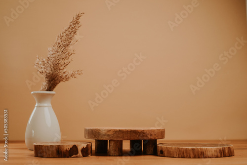 Podium for your product wit copy space and plant photo