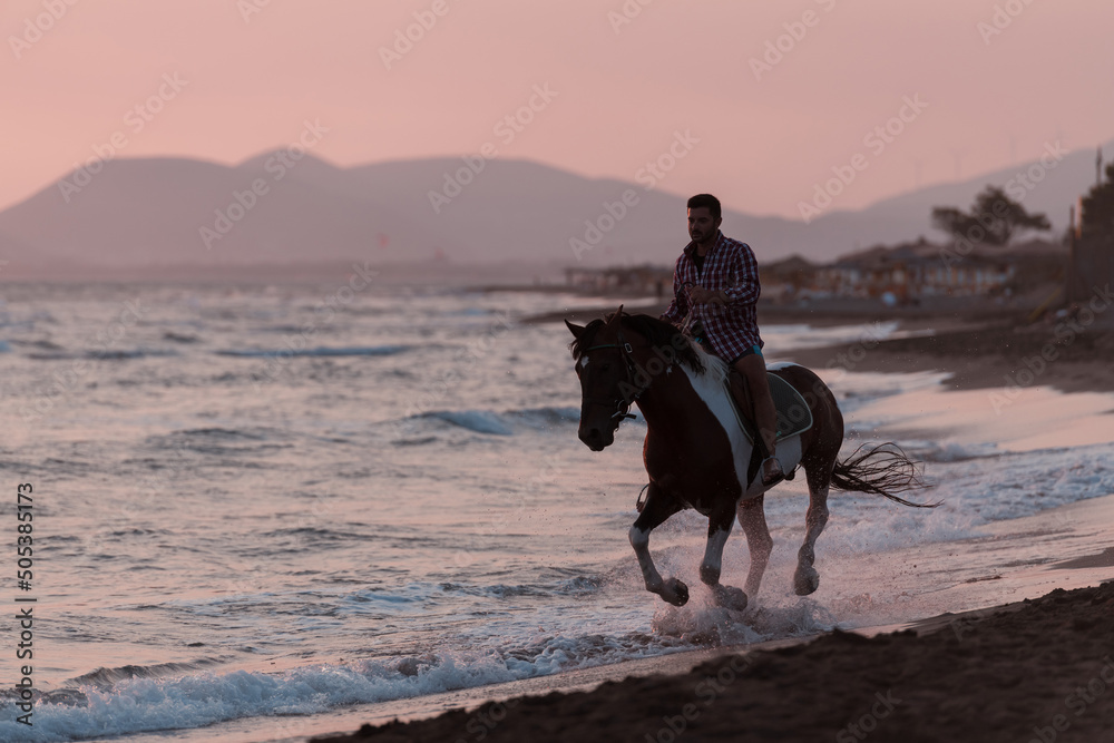 A modern man in summer clothes enjoys riding a horse on a beautiful sandy beach at sunset. Selective focus A modern man in summer clothes enjoys riding a horse on a beautiful sandy beach at sunset. Selective focus