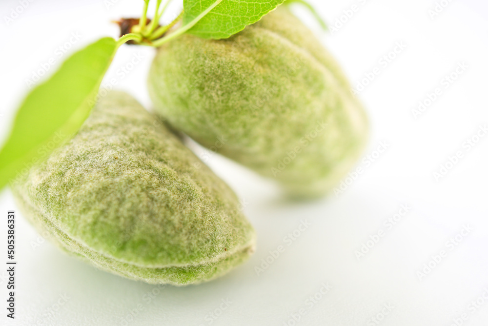 Fotografie Amandes fraîches