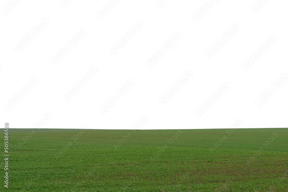 Green field with blue sky as background.