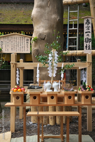 Nagano, Japan - May 17, 2022: Just after completing the rebuilding Onbashira or pillars at Harumiya of Suwa Shrine at May 17, 2022. 
 photo