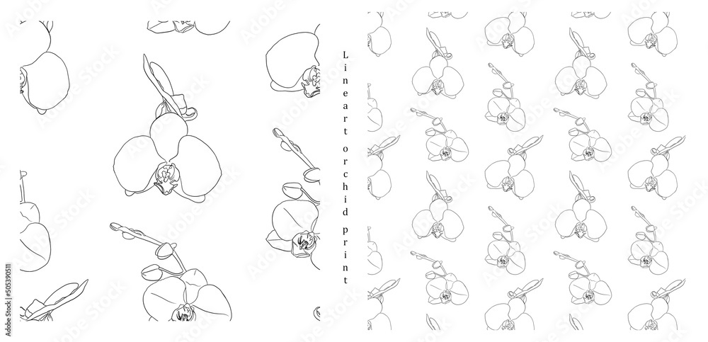 Pattern with orchid branches, flowers, buds, vertical linear ornament with black outline. Vector illustration for festive design, packaging, wallpaper, fabric, stationery, accessories and more.