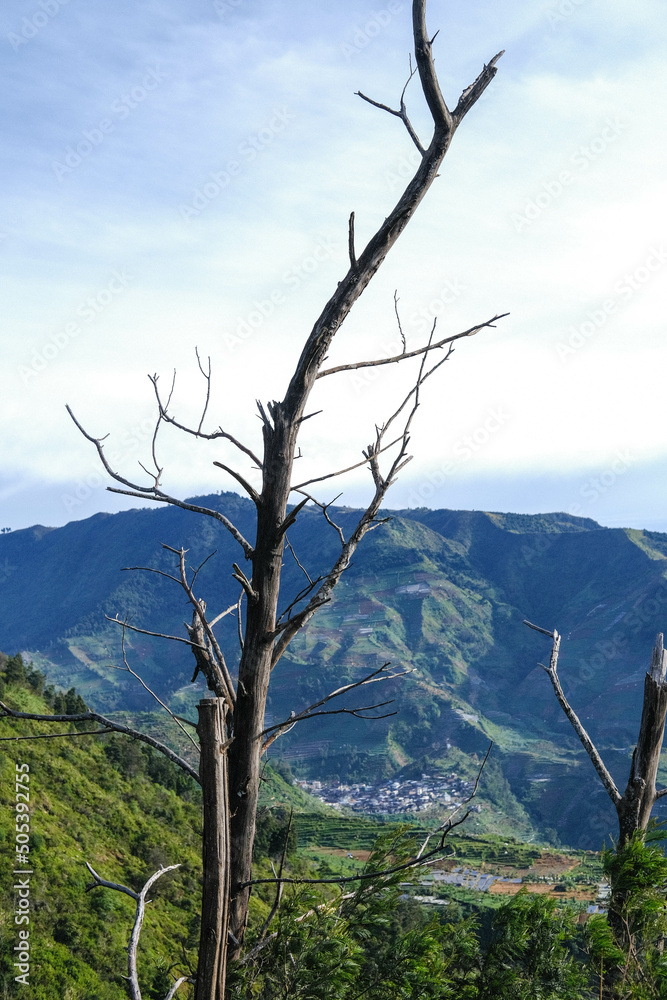 Mountain views from Sikunir Hill in Dieng Mountain views from Sikunir Hill in Dieng