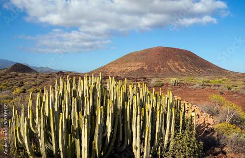 Cuadro en lienzo Malpais Natural Reserve volcanic landscape near La Rasca, Punta Rasca, Arona, Te