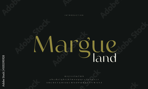 Royal Luxurious, an elegant alphabet font and number. Premium uppercase fashion Design typography. vector illustration