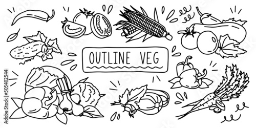 Variable fresh food healthy vegetables. Outline veg doodle hand drawing icon line sketch