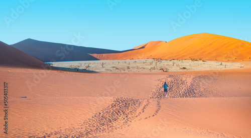 Dead trees in Dead Vlei - Sossusvlei - Namib desert  Namibia