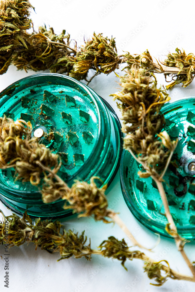 Cannabis with mincer flower cutter