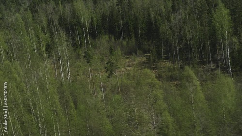 Pov of a view from a fast-flying helicopter at low altitude over a deciduous forest in the daytime and on a sunny day. Flying over a European forest with spruce and birch trees and a small lake. photo