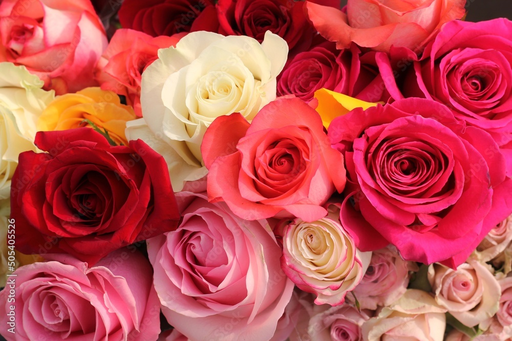 Fototapeta premium bouquet of roses