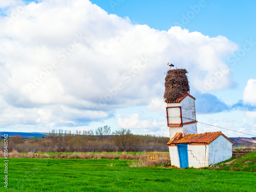 Pareja de cigüeñas cuidando de su nido en una pequeña casita del campo photo