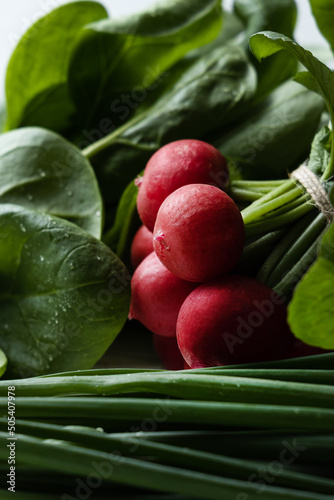 Radishes and spinach close - up