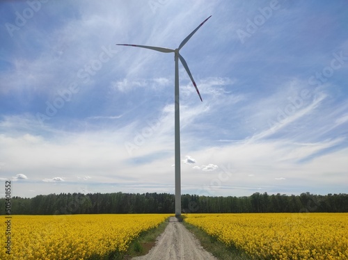 wind turbines in the field © rarchitekt