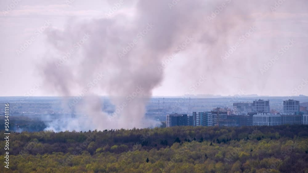 Smoke from the fire rises behind trees in the forest near city buildings, timelapse Smoke from the fire rises behind trees in the forest near city buildings, timelapse