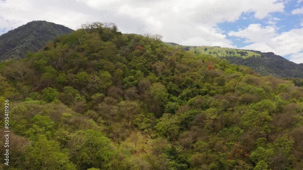 Fresh green foliage, tropical plants and trees covers mountains and ravine. Sri Lanka.