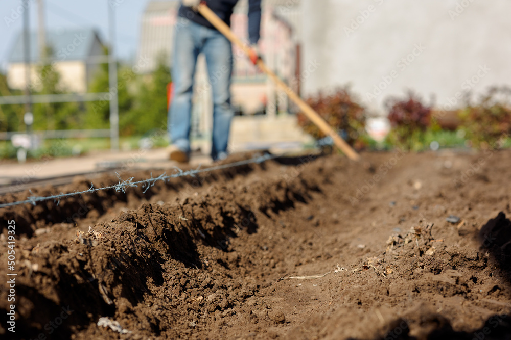 Man digs ground for planting crops. Hands of man who cultivated beds for planting vegetables and greenery. Eco farm products. High quality photo Man digs ground for planting crops. Hands of man who cultivated beds for planting vegetables and greenery. Eco farm products. High quality photo