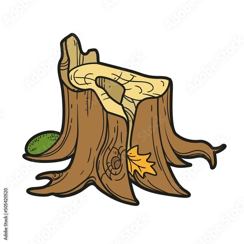 Old stump hollow inside color variation for coloring page isolated on white background