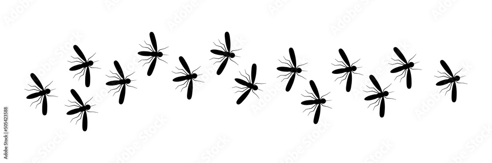 Fotografie Mosquito malaria silhouette