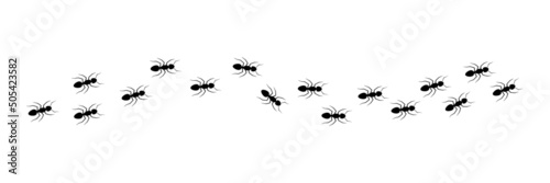 Fotobehang Ant trail silhouette