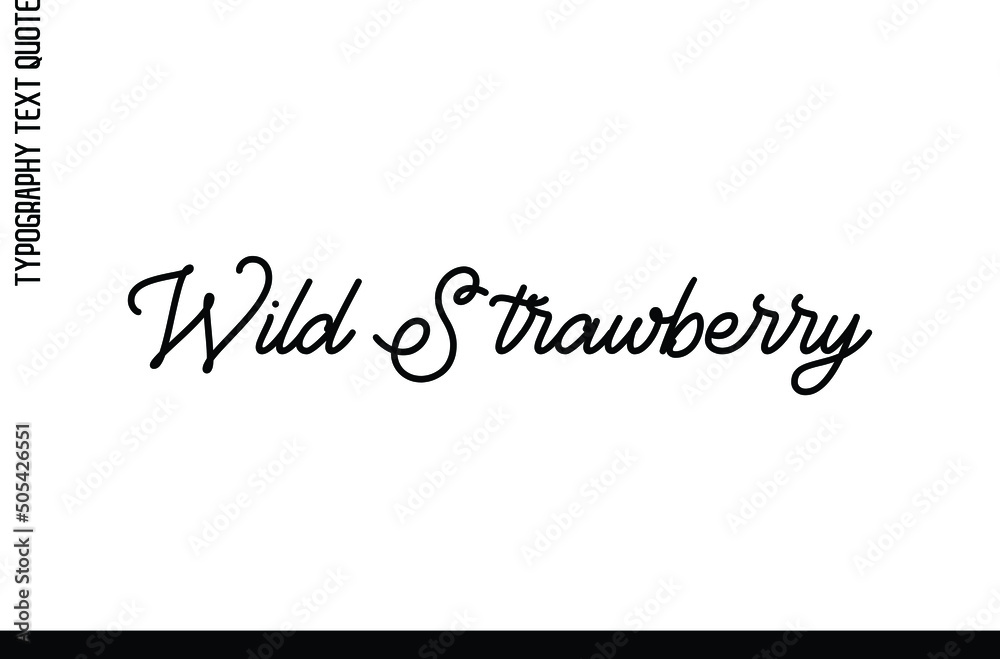 Wild Strawberry Creative Calligraphic Text Phrase