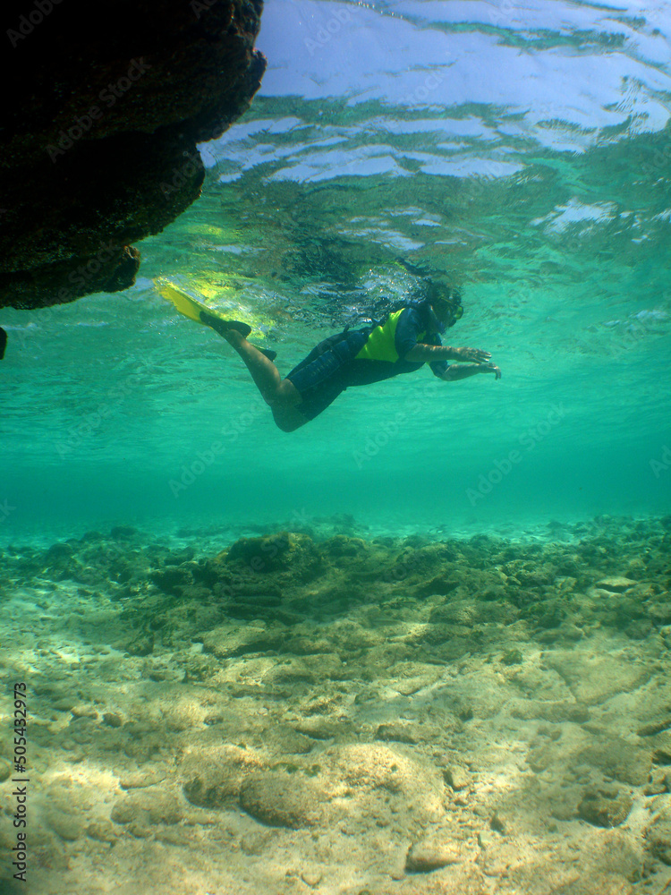 snorkeling on an island in the caribbean sea, Venezuela snorkeling on an island in the caribbean sea, Venezuela