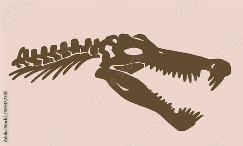 Graphical vintage silhouette  of spinosaurus skull, sepia background,paleontology,vector illustration