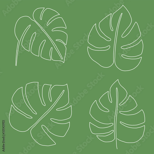 Simplicity monstera leaf freehand continuous line drawing flat design.