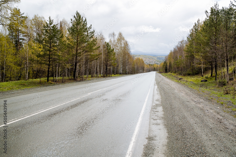A mountain road against the background of a forest, a highway stretches through mountainous terrain, gray asphalt, spruce forest along the roadside, a straight path, a highway. A mountain road against the background of a forest, a highway stretches through mountainous terrain, gray asphalt, spruce forest along the roadside, a straight path, a highway.