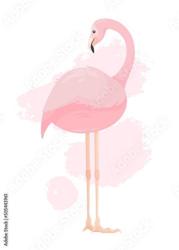 One vector elegant pale pink flamingo with curved neck looks over its back. Rear view of bird on light abstract paint stots background. Exotic animal profile. Wild nature. Bright flat illustration. photo