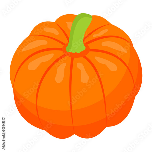 Pumpkin 