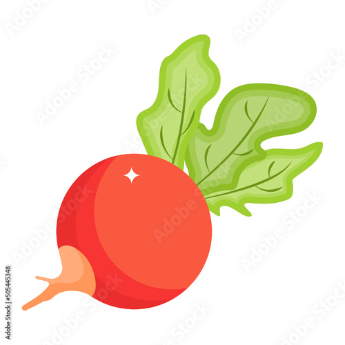 Radish 