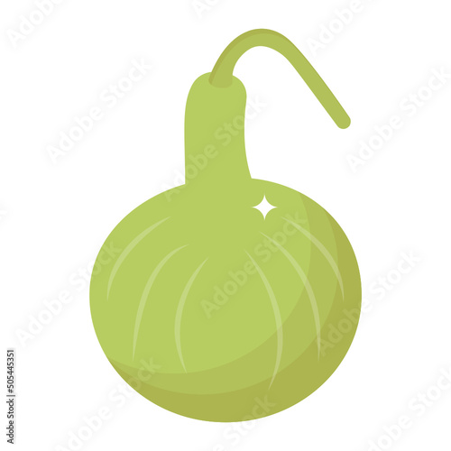 Ridge Gourd 