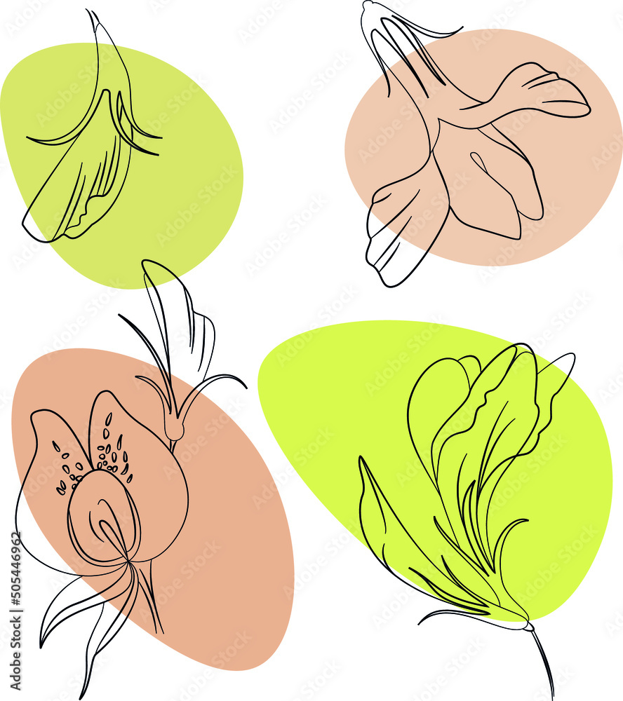 Set of hand-drawn ink flowers