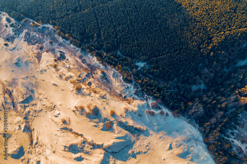 Concept stopping spread of desert, planting trees to limit movement of sand photo