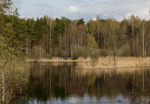 Moscow Oblast, Russia.  View of little lake near Electrougli town. Forest. Spring. Sunny day.