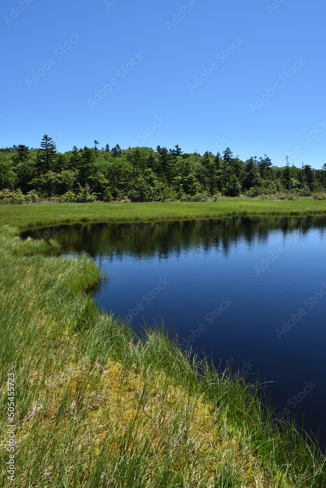 lots of lakes in wetland at high altitude