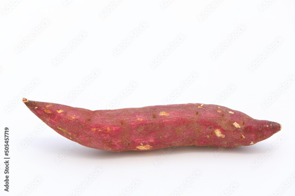 Closeup Sweet potato isolated on white background Closeup Sweet potato isolated on white background