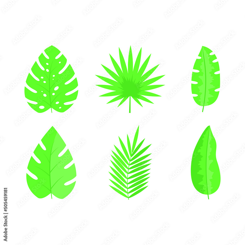 Set of exotic tropical leaves Set of exotic tropical leaves