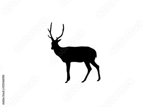 Deer vector image,Elk silhouette deer animal digital clip art vector image,Deer silhouette icon design template isolated vector image