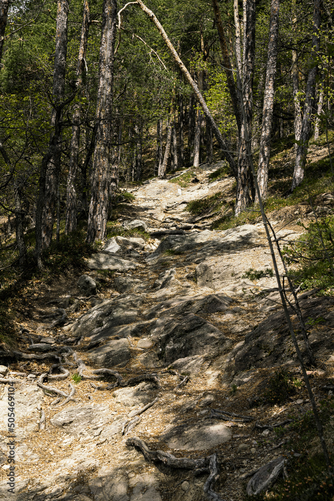 moody mountainpath